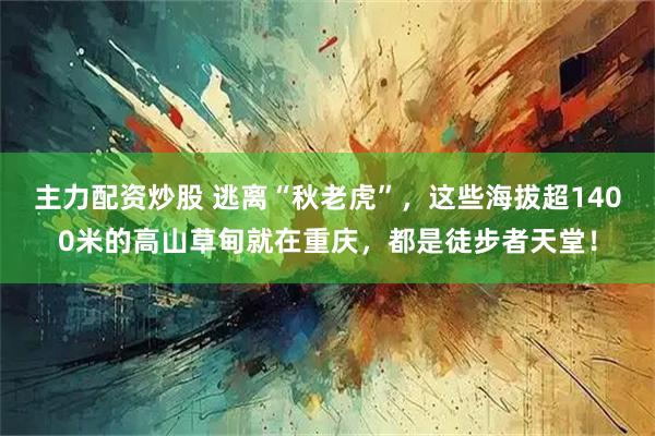 主力配资炒股 逃离“秋老虎”,这些海拔超1400米的高山草甸就在重庆,都是徒步者天堂!