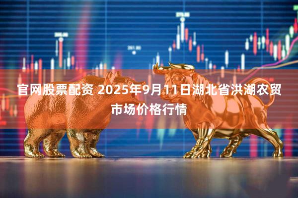 官网股票配资 2025年9月11日湖北省洪湖农贸市场价格行情