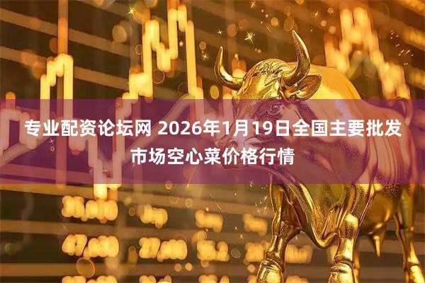 专业配资论坛网 2026年1月19日全国主要批发市场空心菜价格行情
