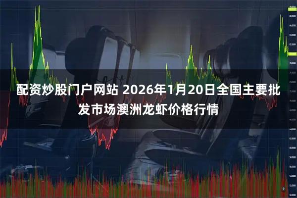 配资炒股门户网站 2026年1月20日全国主要批发市场澳洲龙虾价格行情