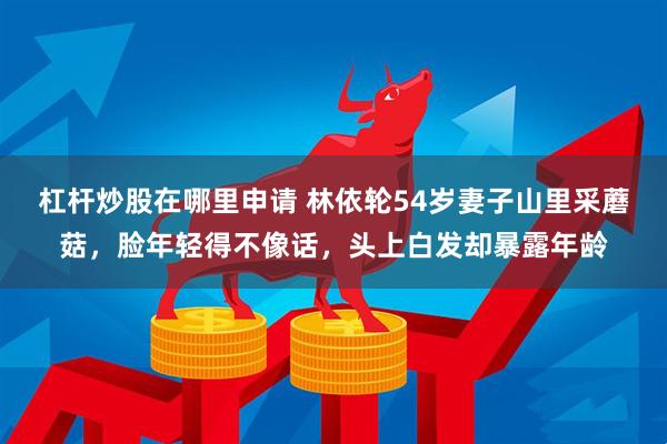 杠杆炒股在哪里申请 林依轮54岁妻子山里采蘑菇，脸年轻得不像话，头上白发却暴露年龄