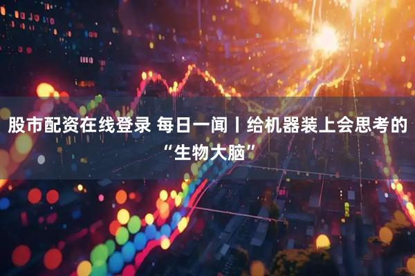 股市配资在线登录 每日一闻丨给机器装上会思考的“生物大脑”